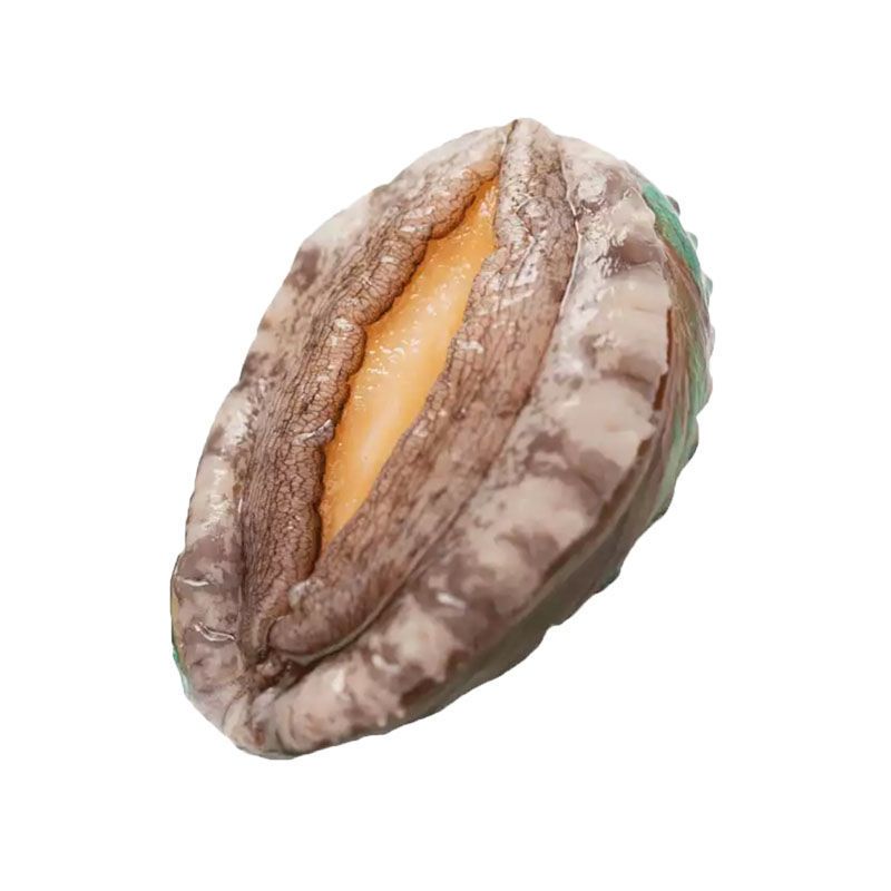 赛卡伊新鲜鲍鱼鲜活海鲜水产鲍鱼活体发货佛跳墙加热即食小鲍鱼特大