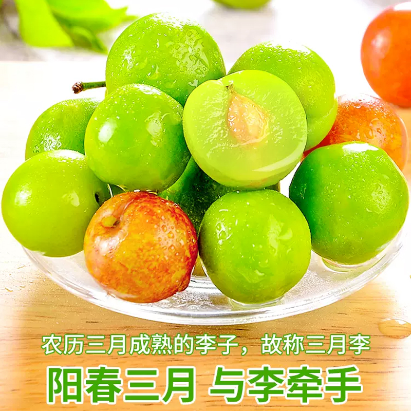 [苏鲜生]云南三月李 250g 大果 新鲜水果当季酸脆三华珍珠李孕妇整箱高清大图