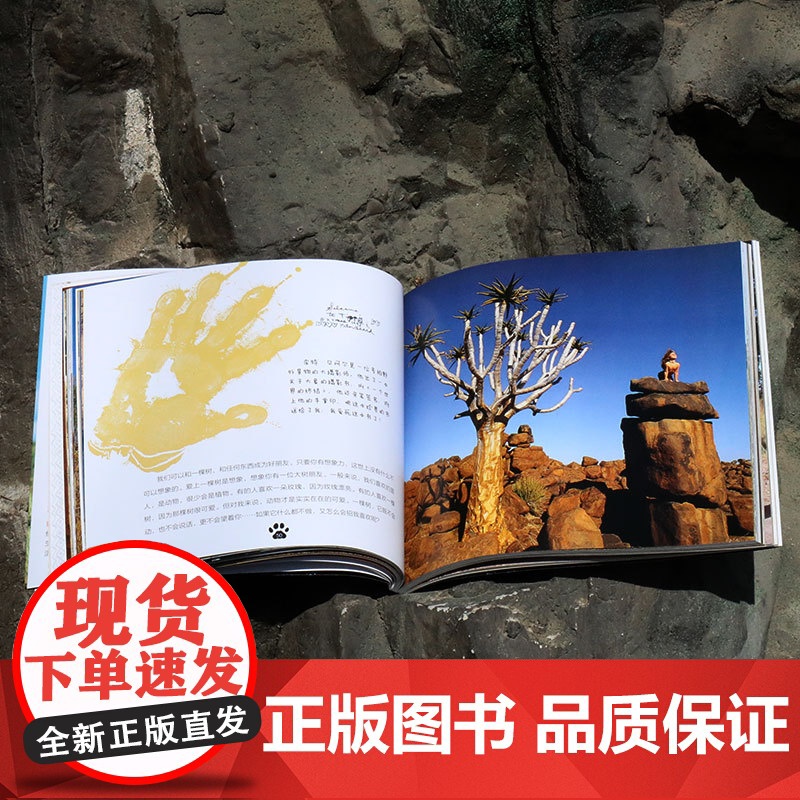 我的野生动物朋友全新完整版 蒂皮·德格雷人与自然科学科普8-10-12周岁一二年级小学生课外阅读儿童读物接力出版社高清大图