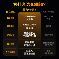 雷鸟鹏6 24款 65英寸电视 家电国家补贴 3+64GB电视机65S375C-JN