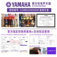 YAMAHA雅马哈THR10/10X/10C 吉他贝斯音箱 电池多功能 吉他音响电吉他音箱大喇叭乐器音箱指示灯乐器配件