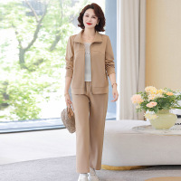 时尚秋季妈妈装套装运动休闲两件套中老年女衣服中年装运动服秋装 2XL(建议110-125斤） 卡其色套装