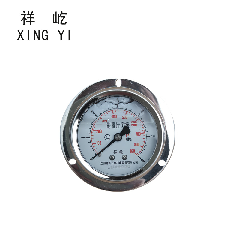 祥屹 耐震压力表轴向带边 YTN60ZT 0-6Mpa 块高清大图