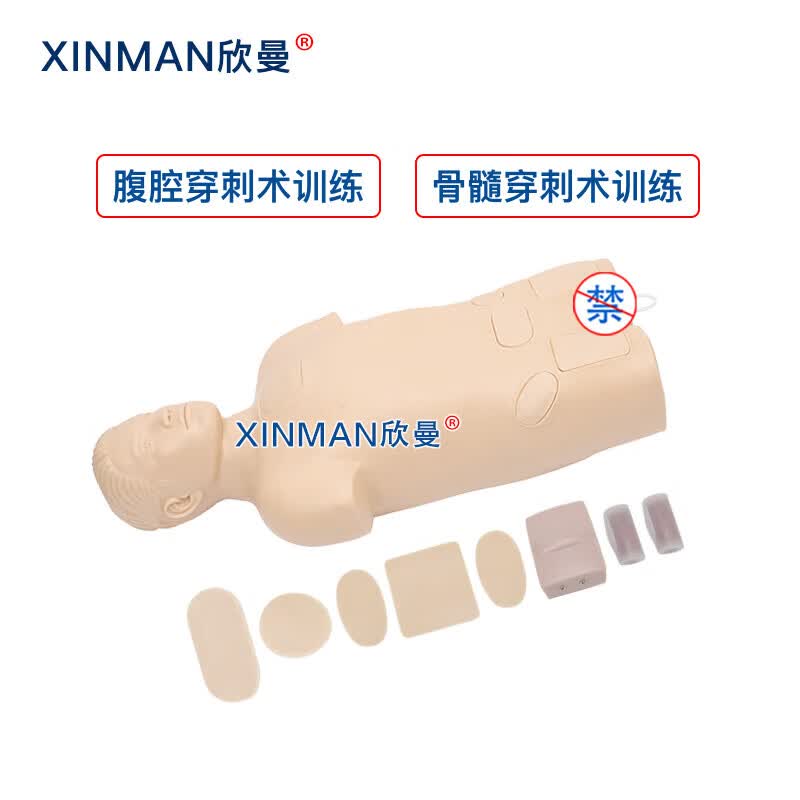 欣曼科教腹腔与骨髓穿刺模拟人 医学教学人体模型XM-1022高清大图