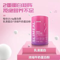 诺特兰德 乳清蛋白450克动物蛋白质 酸奶味 2桶装