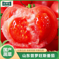 [苏鲜生]山东新鲜普罗旺斯西红柿 番茄 沙瓤西红柿 净重4.5斤 箱装 新鲜蔬菜