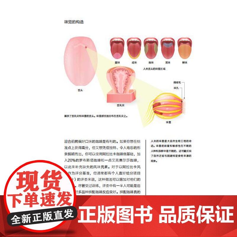 生活. 咖啡烘焙师手册手冲意式美式法式摩卡点心你不懂咖啡 咖啡书籍大全咖啡知识百科专业种类咖啡控经典知识高清大图