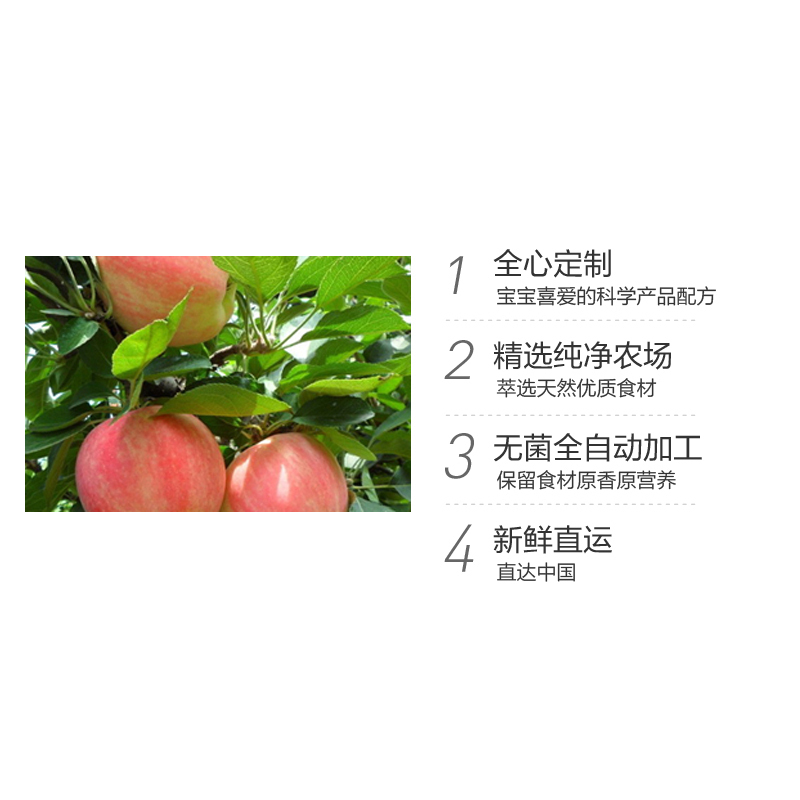 嘉宝Gerber婴幼儿辅食 苹果泥 一段辅食初期 113g 罐装6个月以上美国进口