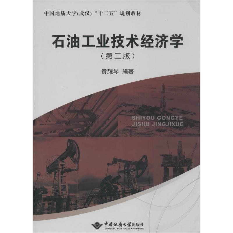 [M]石油工业技术经济学-9787562533313高清大图