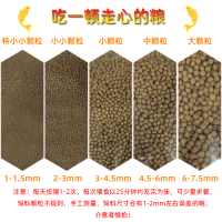 观赏鱼食小金鱼饲料鱼通用鱼粮小颗粒上浮鱼料锦鲤饲料中型鱼