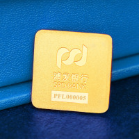 浦发银行旗舰店 黄金财运亨通投资金条 足金 10g 预售5天发货