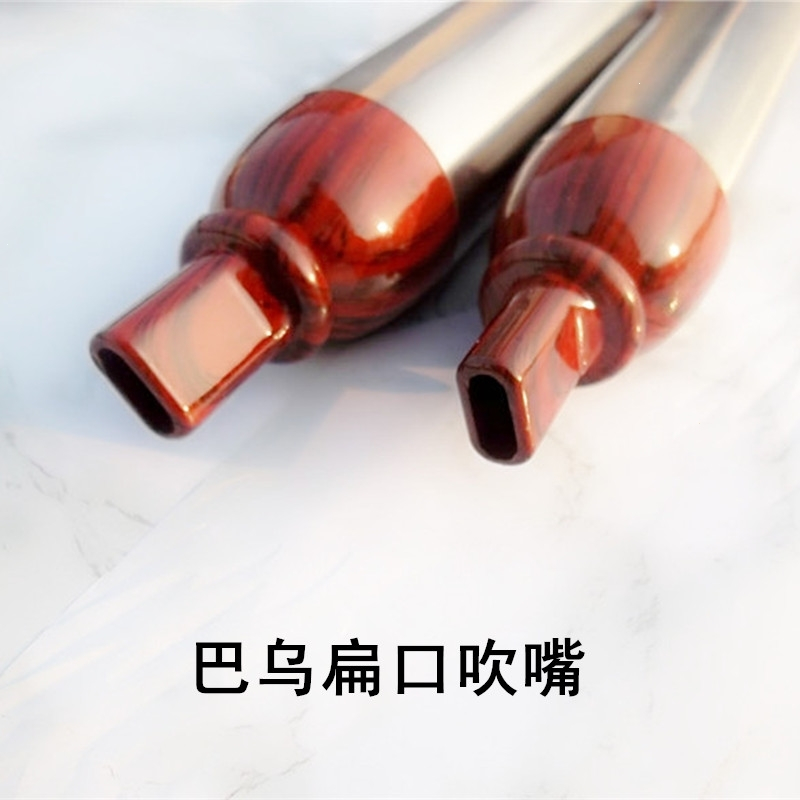 炎黄初学乐器专卖竖吹仿红木巴乌初学可拆卸树脂胶木巴乌G调F调 G调巴乌+礼品