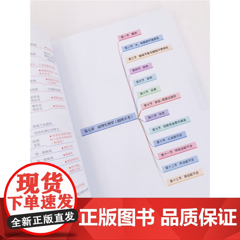 临床执业 含助理 医师资格考试超级大脑之思维导图 思维导图式知识框架 高频考点核心考点攻略 真题盲点攻克 临床专业考试参高清大图