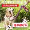 狗绳狗狗用品牵引绳狗链子小型犬中型大型犬金毛泰迪狗绳子遛狗绳 单独项圈(颜色找客服备注) S型号(适合6-15斤)