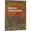 湖相白云岩与致密白云岩储层