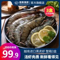 超大黑虎虾整盒新鲜海捕大虾海虾老虎虾冻虾草虾 (中号)毛重500/盒 22-24只 1盒装
