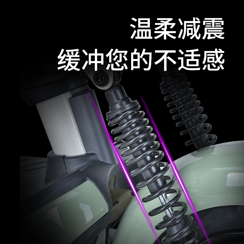 爱玛 (AIMA) 48V高速 电动轻便时尚摩托车 小木豆标准版 鎏金白/亚黑