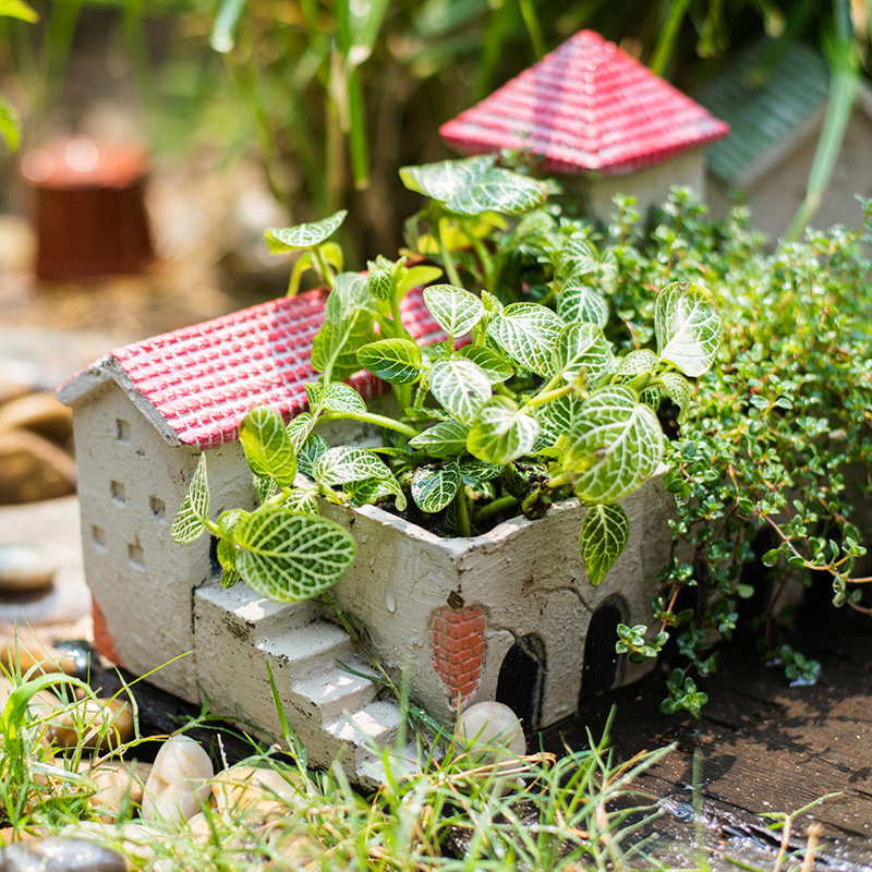 家柏饰(CORATED)圣岛小屋小房子水泥花器多肉花盆艺术摆件杂货花园阳台种植 绿顶小屋(小屋花器D)(不能打孔) 大高清大图