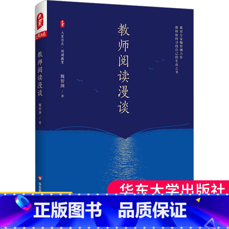 【正版】教师阅读漫谈 大夏书系阅读教育 魏智渊 教师专业发展阅读方法论建议一本通 自我修养成长突围内功修炼中小学教师教