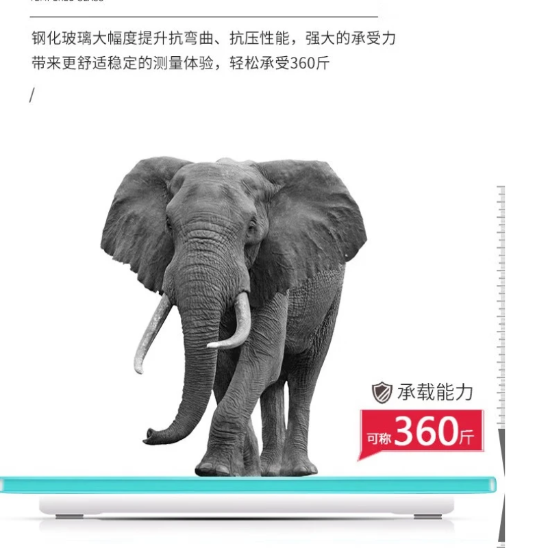 北欧阿萨体脂秤燃脂组合体重秤电子秤家用小型精准称体重运动套装三合一礼盒套装款 燃脂健康[W1组合 ]高清大图