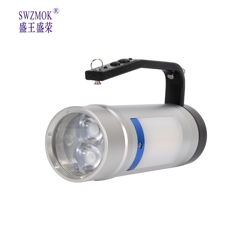 盛王盛荣强 防爆多功能手提灯高清大图