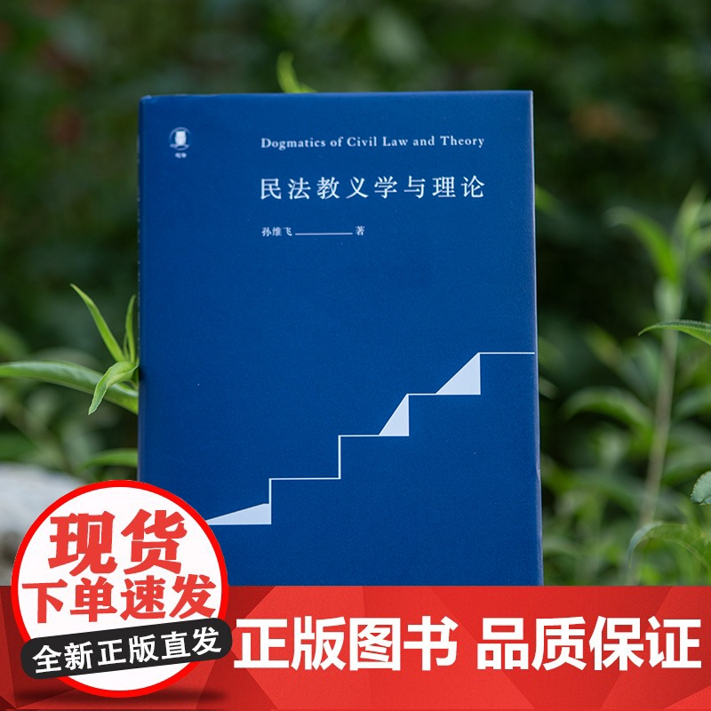 民法教义学与理论 孙维飞 著 法学理论社科 正版图书籍 北京大学出版社高清大图