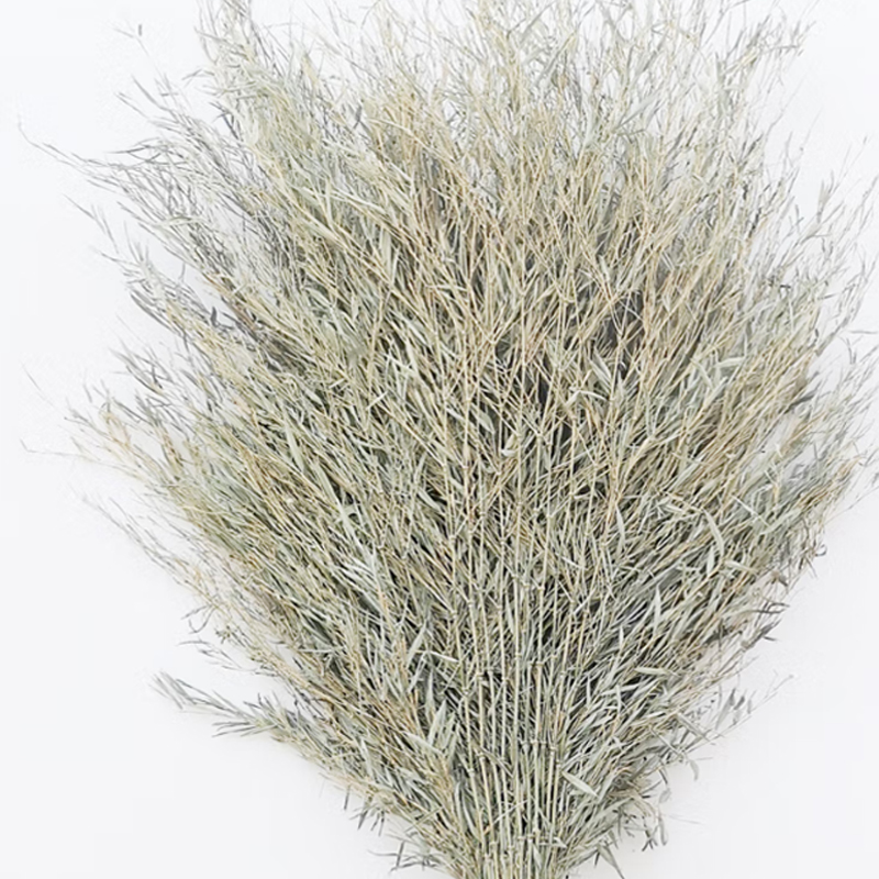 连瑞翔 大扫把 竹制 把高清大图