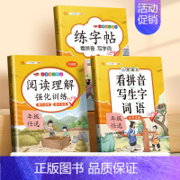[3本]阅读理解+看拼音+练字帖 五年级上 [正版]五年级下册阅读理解训练书每日一练小学生5年级语文课内同步强化练习题册