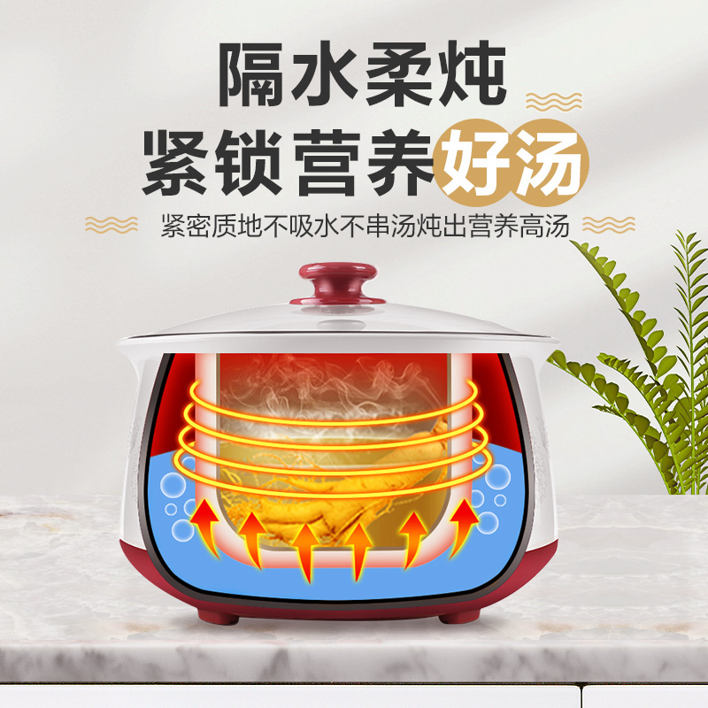 苏泊尔(SUPOR)电炖锅1.6L多功能电炖盅煲汤锅炖汤锅隔水炖燕窝炖盅陶瓷三胆煮粥锅双层防烫DZ16YC812-35