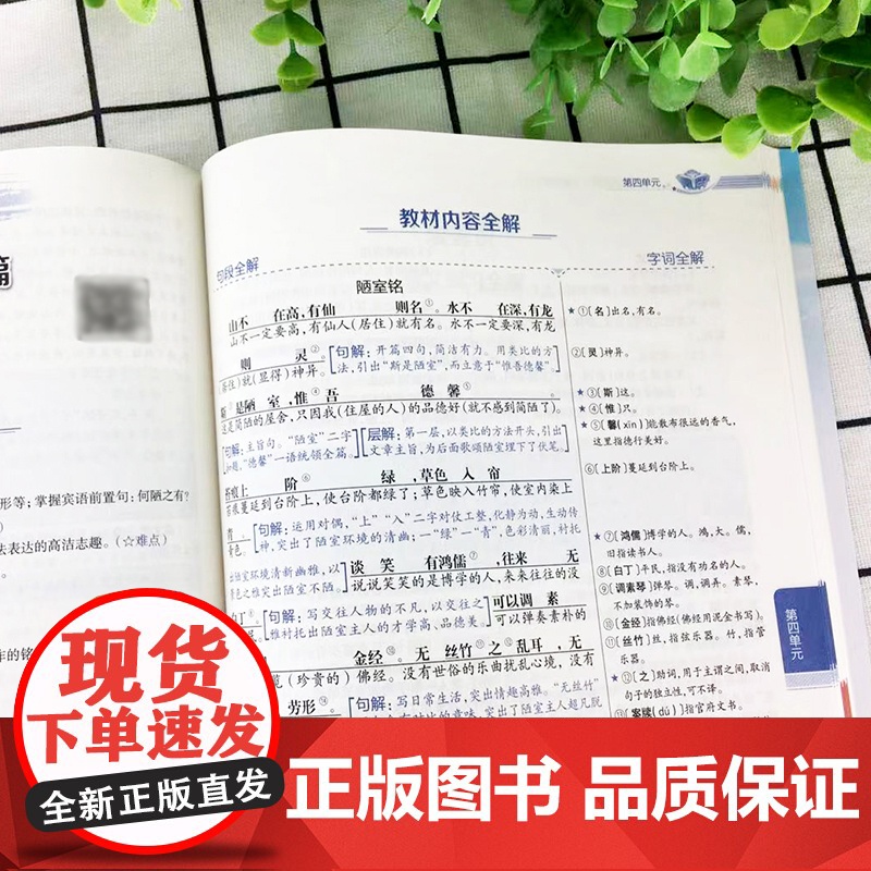 2025春中学教材全解七年级下册全套语文英语数学历史地理生物政治人教外研北师上册薛金星初一下课本同步新教材完全解读教辅资高清大图