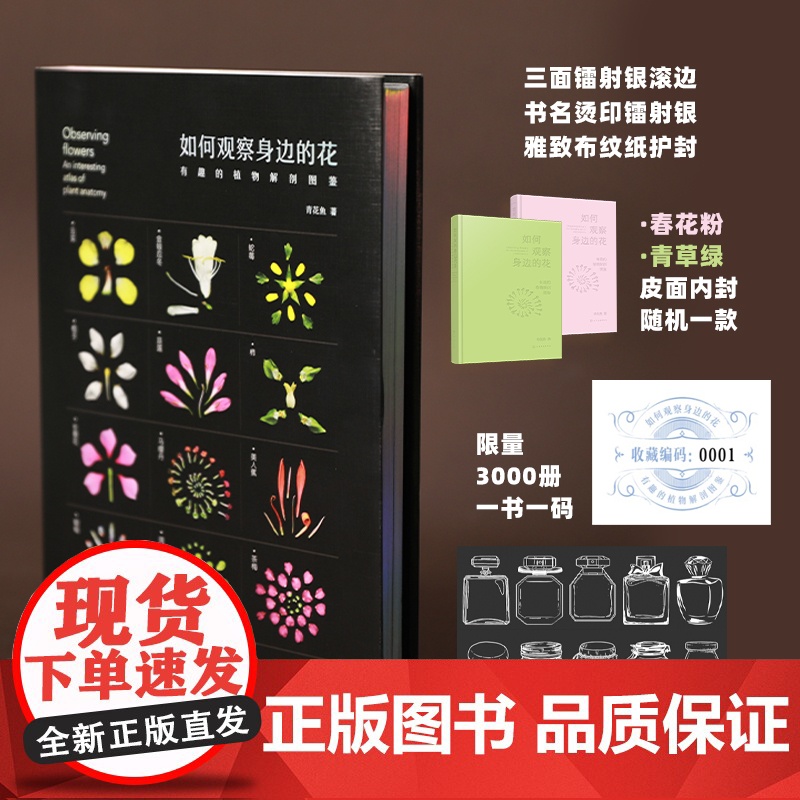 2册 如何观察身边的花 有趣的植物解剖图鉴 我的大自然观察笔记 植物观察笔记 植物科普绘本 6-12岁小学课外自然科普阅高清大图