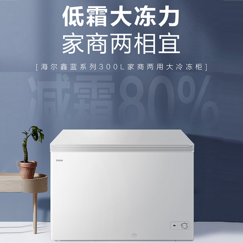 海尔(Haier)300升家用卧式冰柜 冷柜 减霜80% BC/BD-300GHD[02]