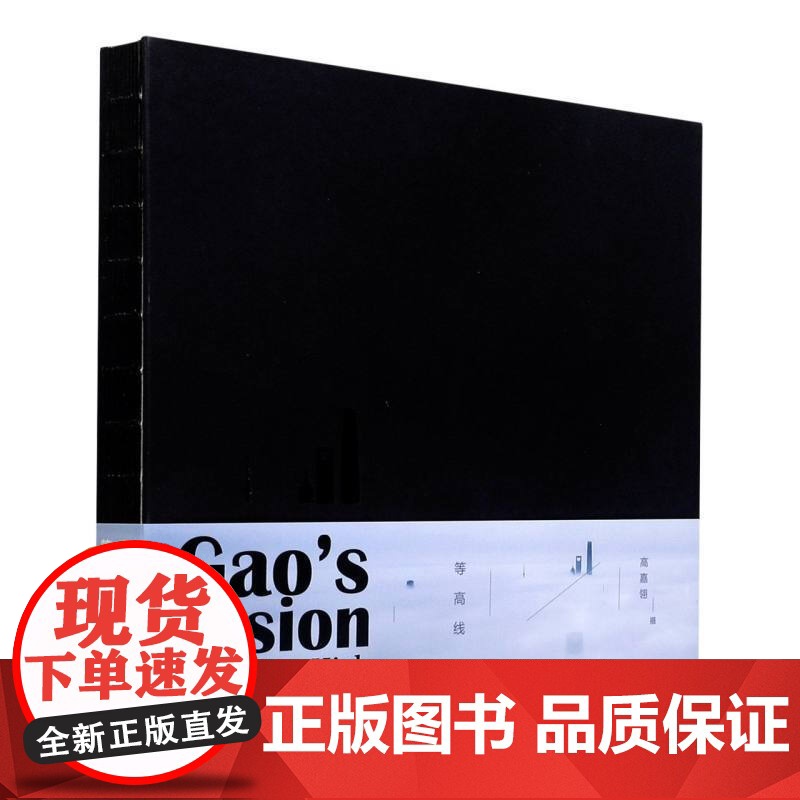 等高线 青少年摄影师高嘉翎的上海航拍作品专辑上海人民美术出版社高清大图