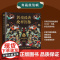 敦煌经典纹样图鉴 红糖美学 著 艺术设计