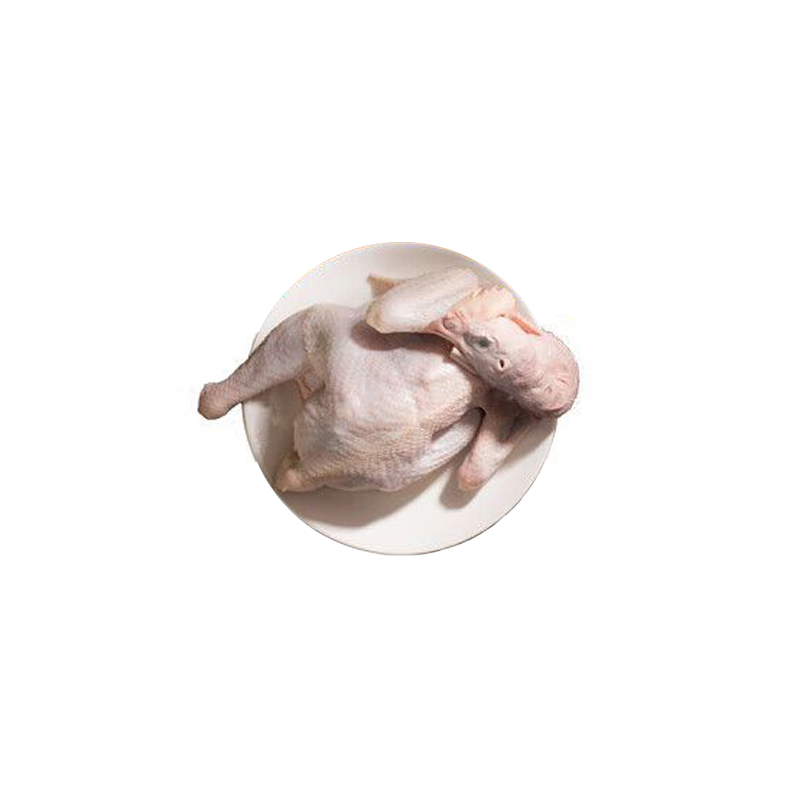 黄天鹅 凤集安心老母鸡1.2kg/个高清大图