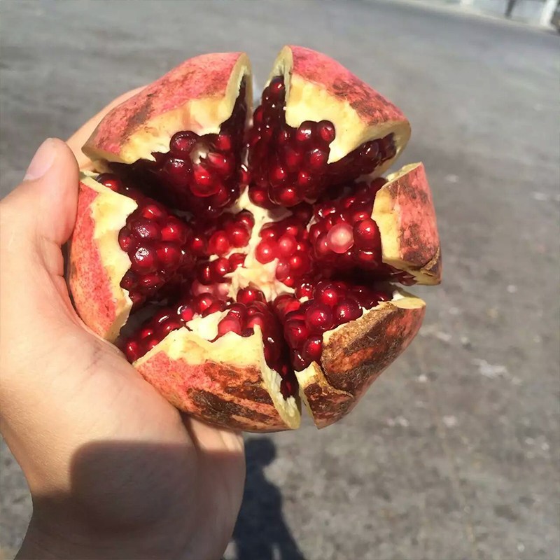 新疆和田皮亚曼石榴5斤大果 红籽丑石榴孕妇当季新鲜水果整箱 新疆