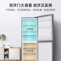 扎努西.伊莱克斯冰箱ZBE2531LGA