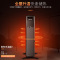 先锋(SINGFUN)油汀取暖器家用电暖器13片暖气片烤火炉全屋快速升温节能省电电暖气 DYT-Z10