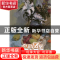 正版 色彩静物:色调训练 刘晓明著 重庆出版社 9787229057831 书