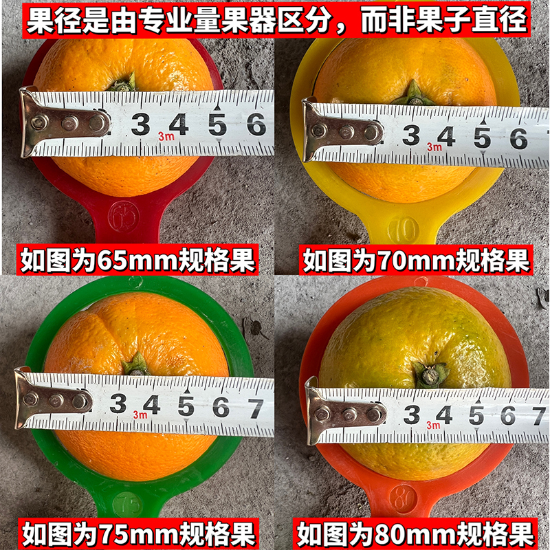 [西沛生鲜]当季爱媛38号果冻橙 可以吸的新鲜水果 特大果 净重8斤 单果 75mm以上