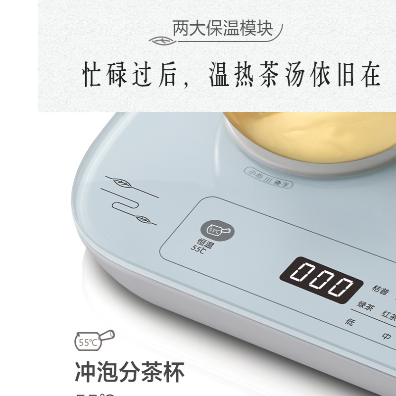 小熊(Bear)煮茶器煮茶壶 0.8L蒸汽喷淋式养生壶电水壶ZCQ-A08E1