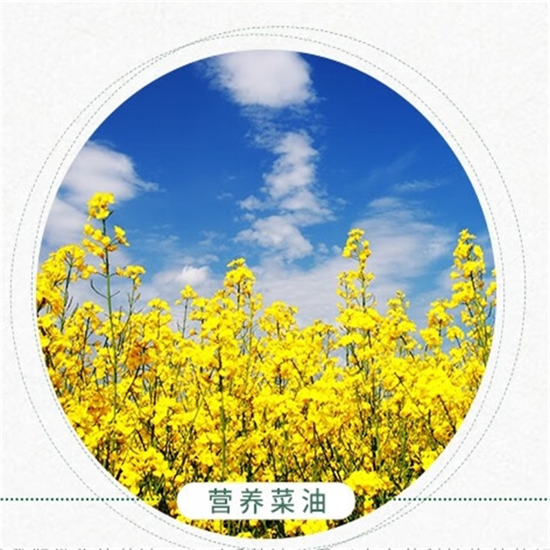 金浩宫廷黄金压榨菜籽油1.7L 非转基因+物理压榨+国标一级 1瓶 集采(100瓶起订)高清大图