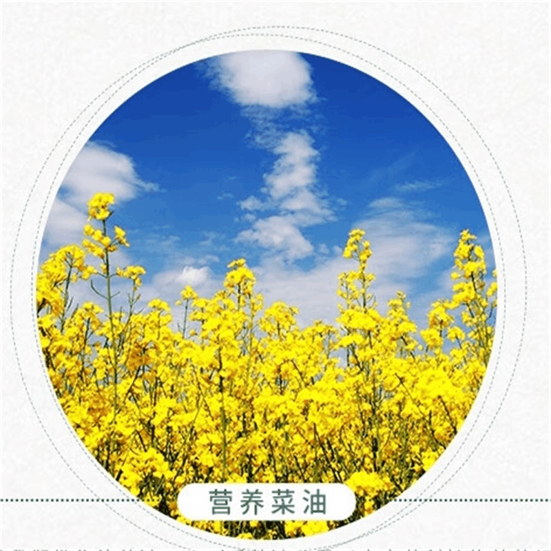 金浩宫廷黄金压榨菜籽油1.7L 非转基因+物理压榨+国标一级 1瓶 集采(100瓶起订)图片
