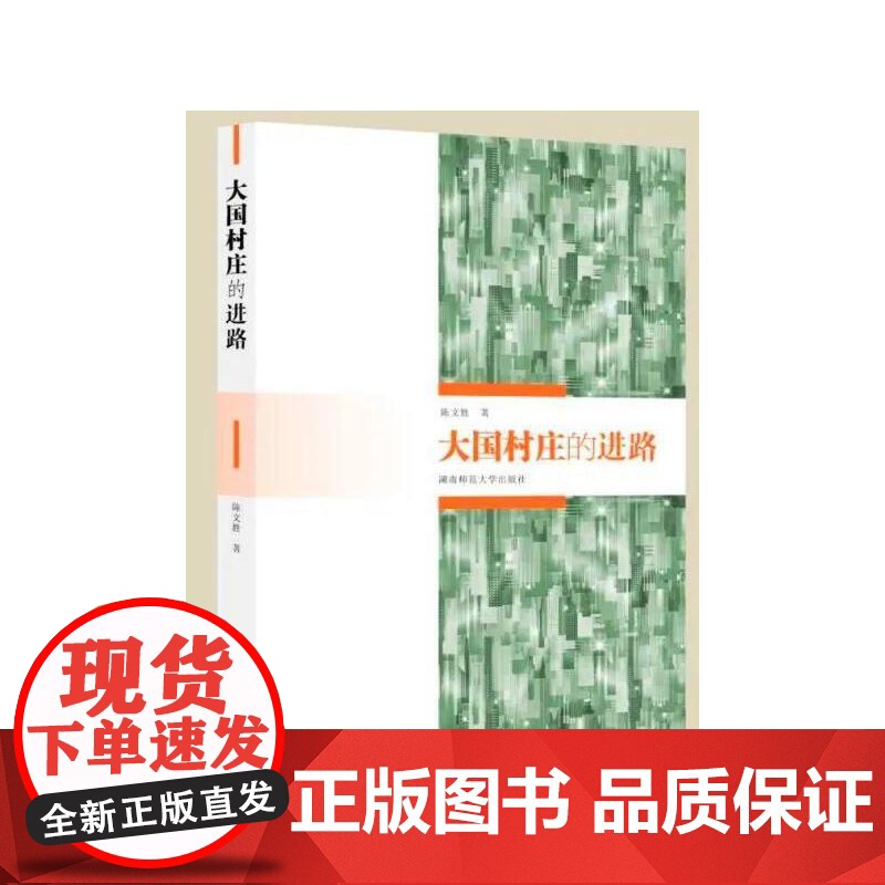 大国村庄的进路高清大图