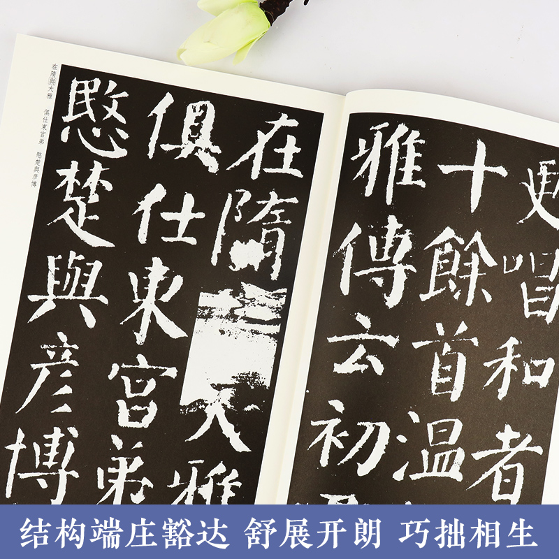[正版]传世原碑帖 颜勤礼碑 楷书毛笔字帖 勤礼碑墨点字帖学生初学者颜体楷书入门临摹本楷书毛笔书法练字教程全集颜真卿楷高清大图
