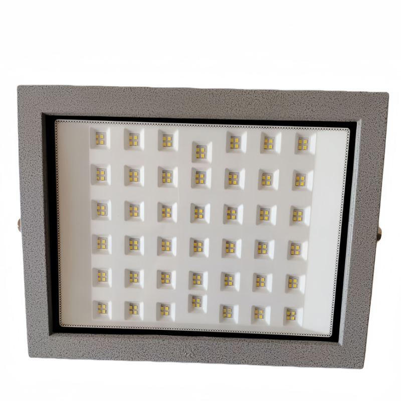 洛安斯 LED防爆投光灯 CDE91-30W 个高清大图