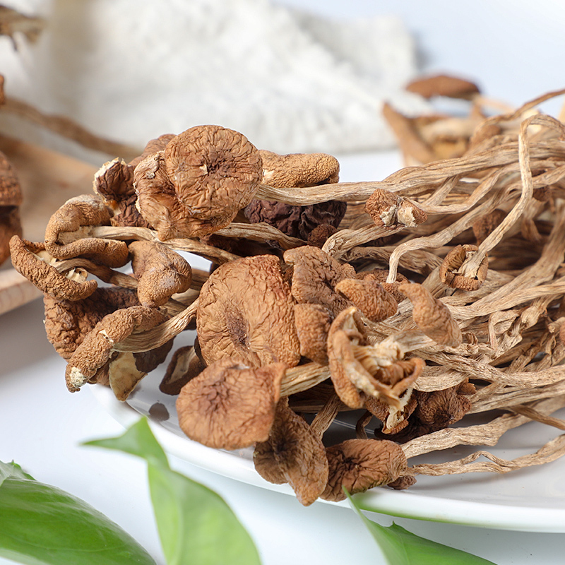 mrsdu杜夫人茶树菇100g 罐装新货茶薪菇不开伞茶树菇干货菌菇特产