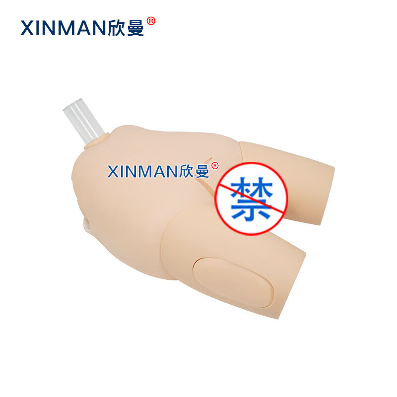 欣曼科教 女性膀胱穿刺操作训练模型 女性导尿模型XM-29N高清大图