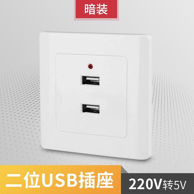 国际电工usb插座面板36v二位四位工地宿舍86型低压220v转5v 暗装220v