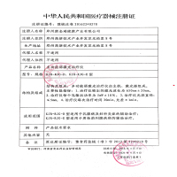 左点 妇科治疗仪红光理疗仪 妇科炎症家用多功能弱激光震动按摩仪器 女性护理仪 官方标配
